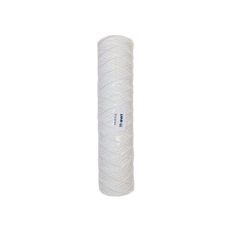BWT cartouche 25µm pour filtre pluvio jetable FCFPPD0080