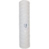BWT cartouche 25µm pour filtre pluvio jetable FCFPPD0080