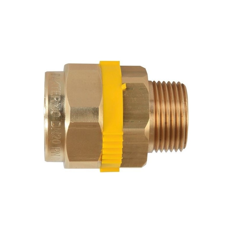 PAKTERMO PLT GAZ MANCHON FILETE DN25-4/4'M P26F104