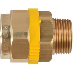 PAKTERMO PLT GAZ MANCHON FILETE DN32-5/4'M P26F105