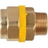 PAKTERMO PLT MANCHON FILETE DN40-6/4'M P26F121