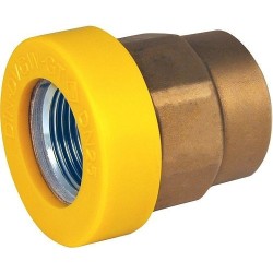 RACCORD ISOLANT SEPARATION GALVANIQUE GAZ FF 5/4' ECP100249