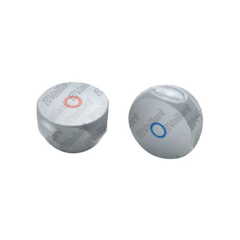 Vaillant jeu de manettes bleu + rouge 012009