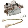 Bulex mécanisme gaz G20 Thematek + Themaclassic S1071400