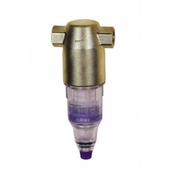 BWT filtre europafilter WF diamètre 3/4 820132